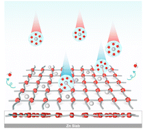 Ordered interface regulation at Zn electrodes induced by trace gum additives for high-performance aqueous batteries