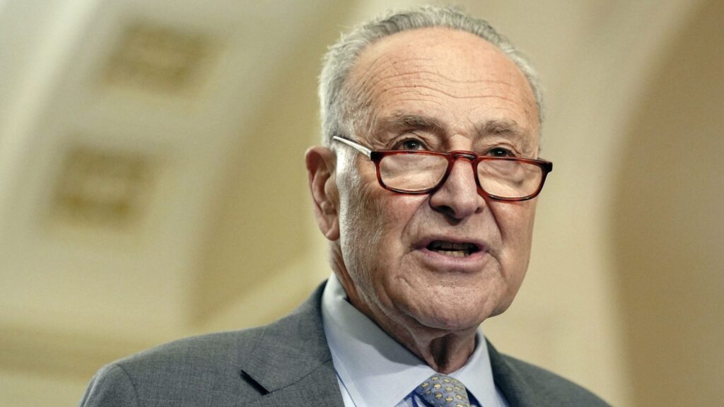 Schumer says Dems must ‘look in the mirror’ after election loss