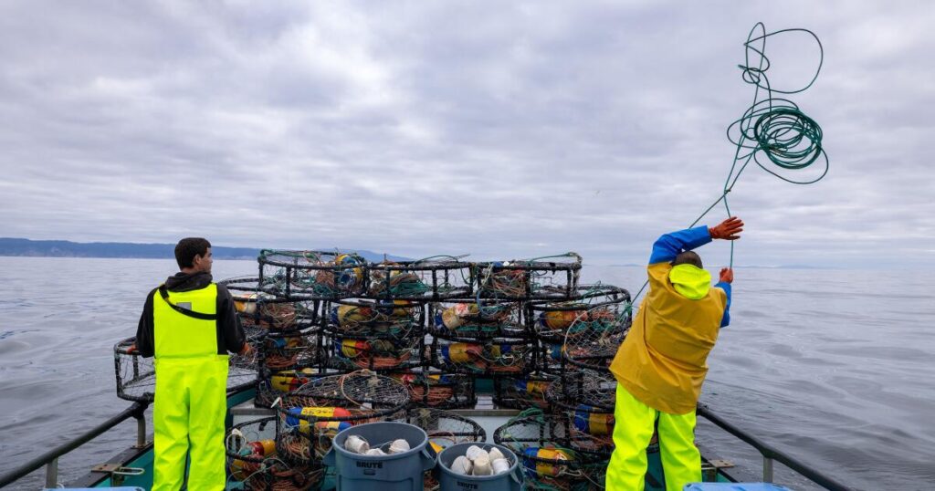 Dungeness crab fishery in peril as California ramps up regulations